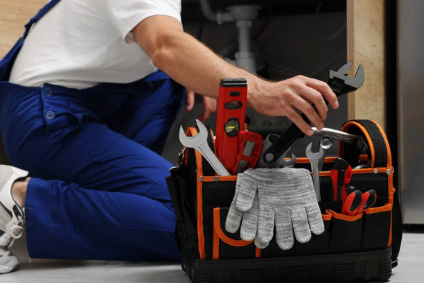 Best Same-Day Plumbing Service  in Onarga, IL