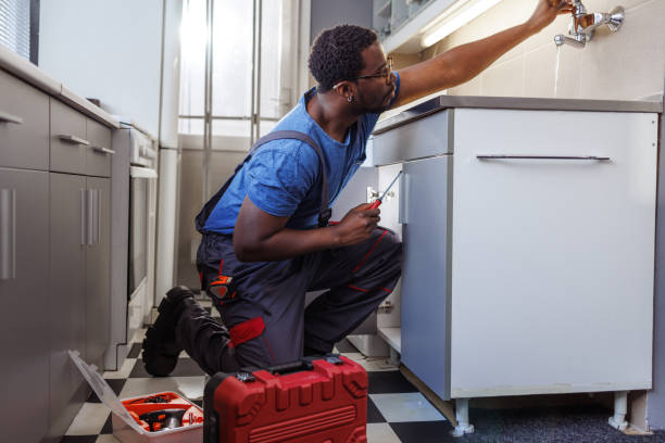 Best Toilet Repair Services  in Onarga, IL
