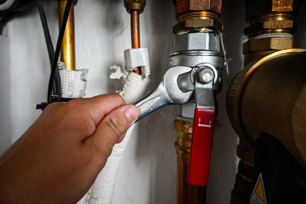 Best Local Plumber Services  in Onarga, IL